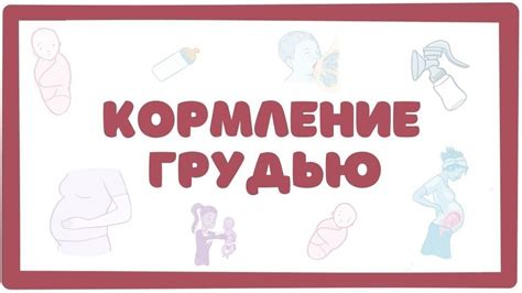 Техники кормления