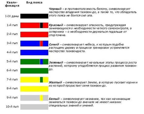 Технические требования для получения желтого пояса
