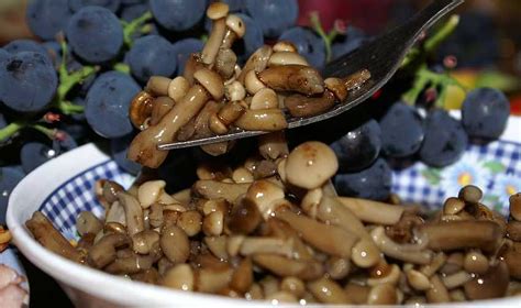 Технология закрытия соленых грибов капроновыми крышками
