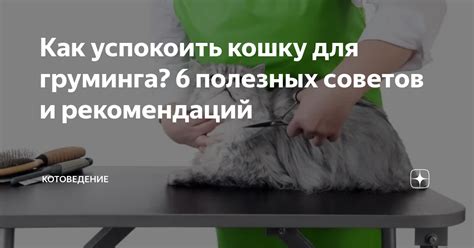 Топ 6 полезных советов и рекомендаций