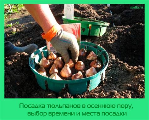Точный выбор времени и места для посадки