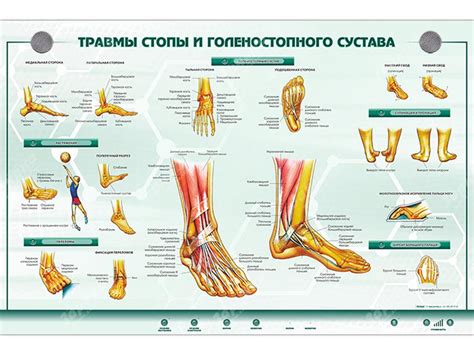 Травмы стопы и голеностопного сустава