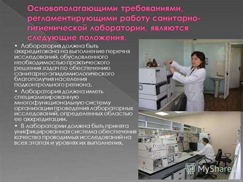 Требования к санитарно-гигиенической безопасности сыра при ввозе