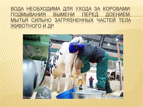 Требования к условиям содержания осетра