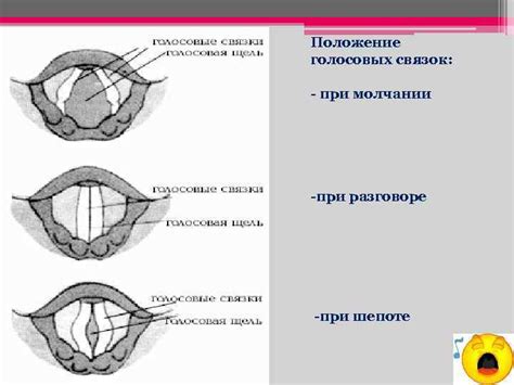 Тренировка суставов голосовых связок