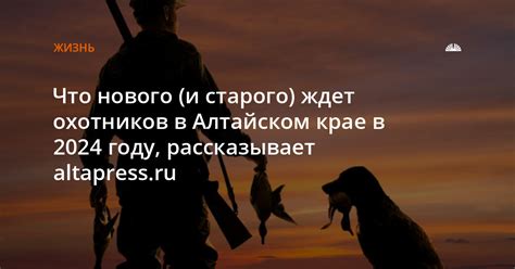 Туристические возможности для охотников в Алтайском крае