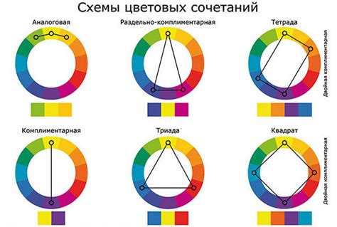 Убывающий свет: укорочение дней и смена цветовой гаммы