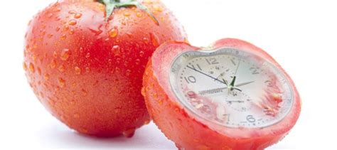 Увеличение продуктивности и выживаемости
