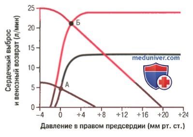 Увеличение сердечного выброса и улучшение кровотока