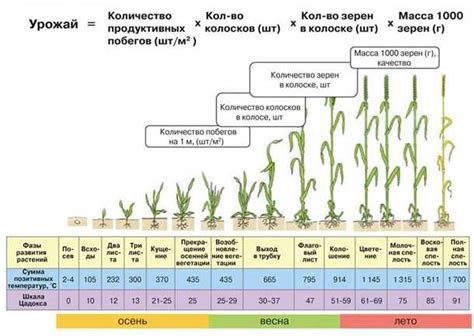 Увеличение урожайности растений