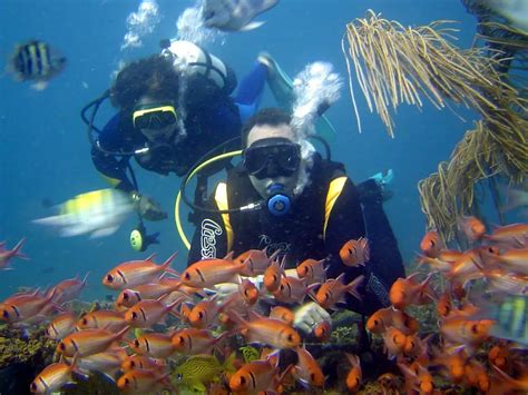 Удивительное море и богатый мир подводного плавания