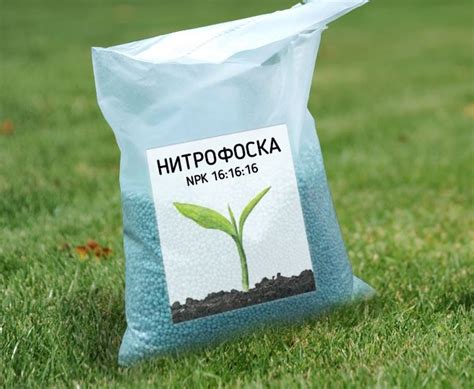 Удобрение нитрофоска осенью: особенности и плюсы