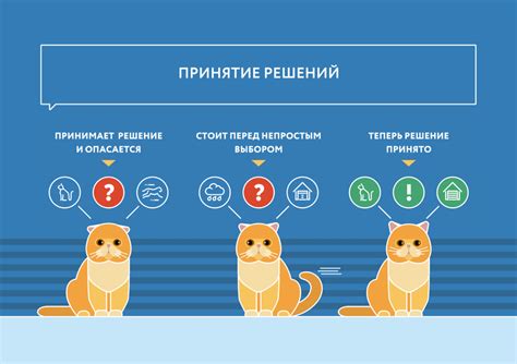 Узнайте, как понять кошачий язык и установить гармоничную связь