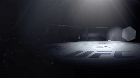 Узнайте, когда пройдут бои UFC в Абу Даби