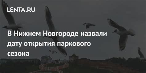 Узнайте дату открытия нового зоопарка в Нижнем Новгороде