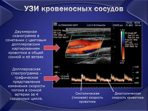 Узнайте дату проведения