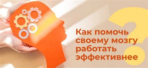 Укрепление памяти и креативности