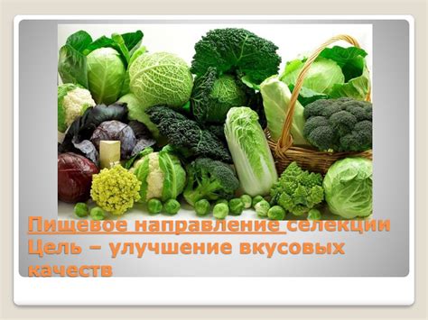 Улучшение вкусовых качеств салата