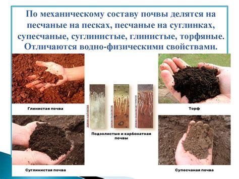 Улучшение химического состава почвы