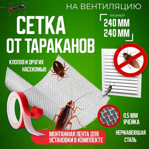 Улучшите гигиену для предотвращения переноса клопов