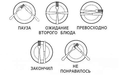 Умение пользоваться ножом: важный аспект для женщин