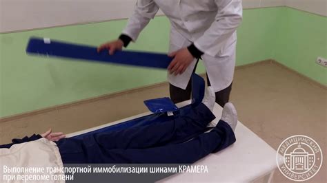 Уникальные методы хирургического вмешательства при переломе ноги у лошади