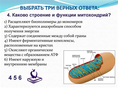 Уникальные особенности бактериальных рибосом