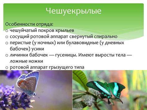 Уникальные особенности видов