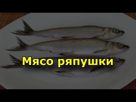 Уникальные свойства разных видов рыбы