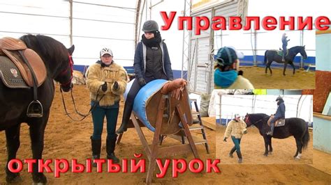 Управление лошадью: навыки и тренировки, необходимые для безопасного путешествия