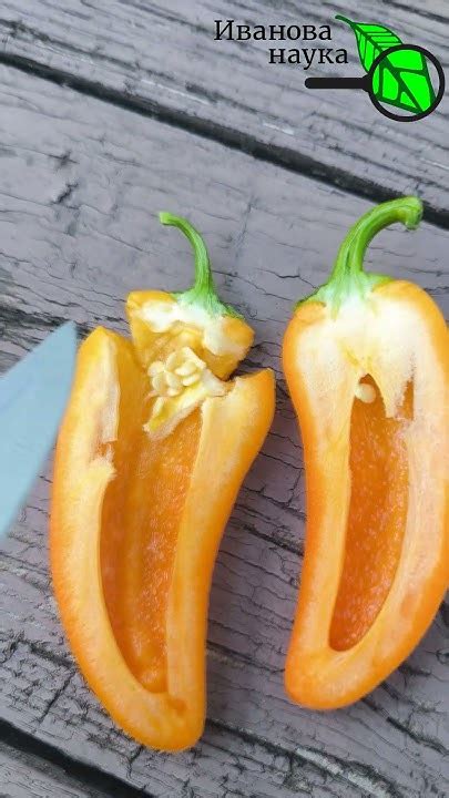 Усиление вкуса и аромата