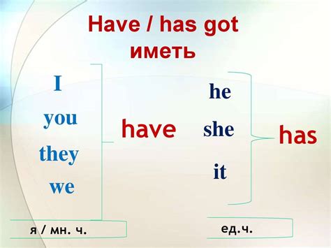 Условия применения "have" и "haven't" с глаголами состояния