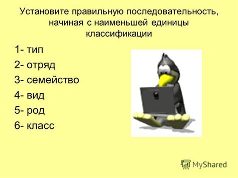 Установите правила с самого начала