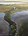 Устойчивое развитие: одна из ключевых задач