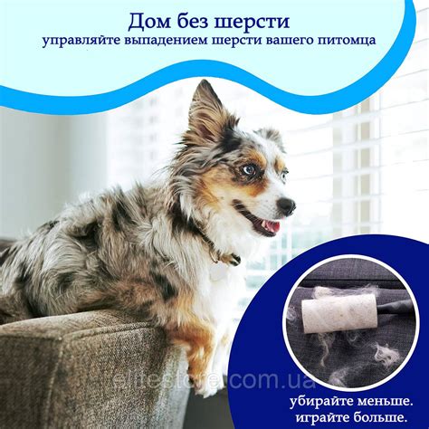 Утолщение шерсти и подшерстка
