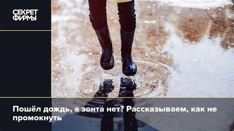 Утренний дождь – как дольше не намокнуть