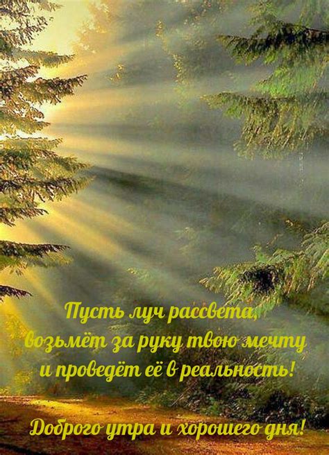 Утро - начало дня и новая энергия