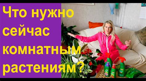 Уход за иргой осенью и зимой