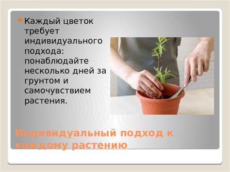 Уход за корнями и грунтом