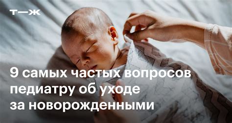 Уход за новорожденным пингвином