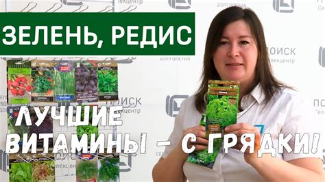 Уход за редисом