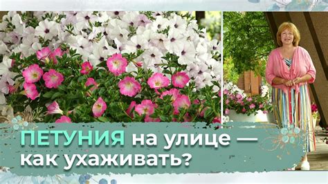 Уход за стабилизаторами на улице
