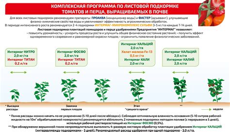 Уход и подкормка растений в течение сезона