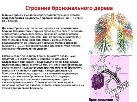 Ухудшение функции бронхов