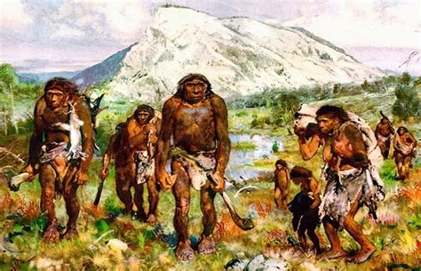 Участие Homo sapiens в первобытных обществах
