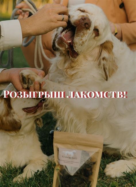 Учитывайте потребности породы