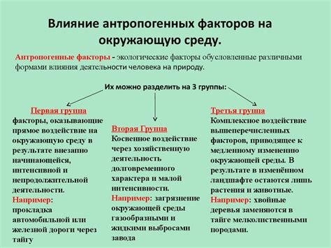 Факторы, влияющие на действие Клексана утром и вечером