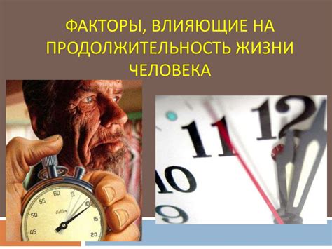Факторы, влияющие на прогулки