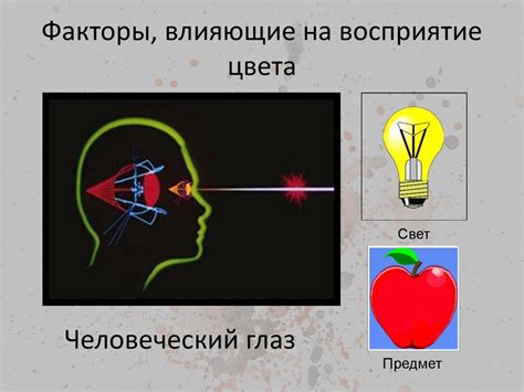 Факторы, влияющие на проявление цвета