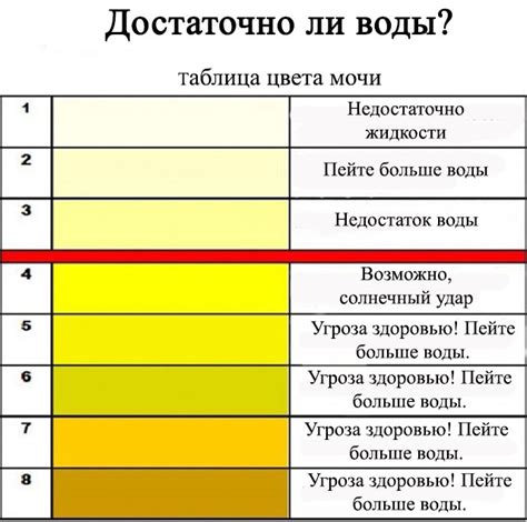 Факторы, влияющие на цвет мочи